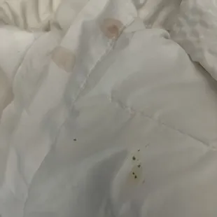 Found crusty mildew and blood on our sheets