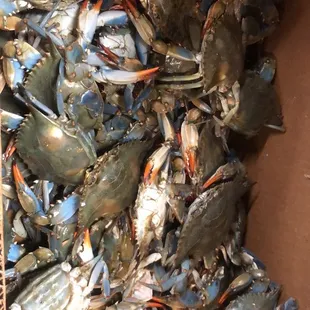 a box full of blue crabs