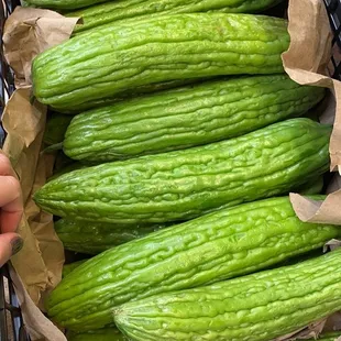 a basket of fresh cucumbers