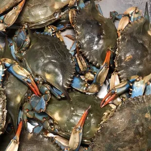 a tray of blue crabs