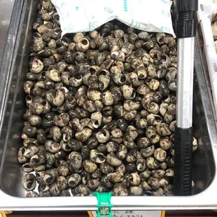 a tray full of mushrooms