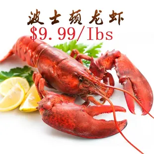 a lobster and lemon on a white background