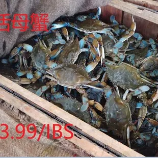 blue crabs in a wooden box