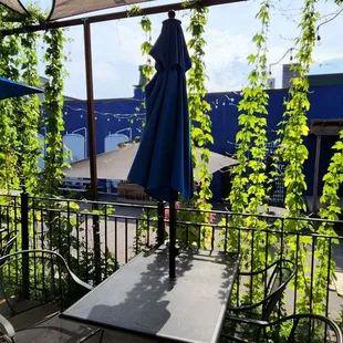 Hops and tables