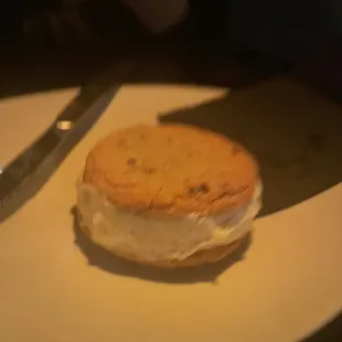 Ice cream sandwich