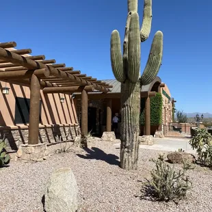 Saguaro DC Exterior