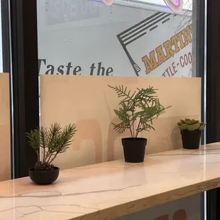 three potted plants on a counter in front of a window