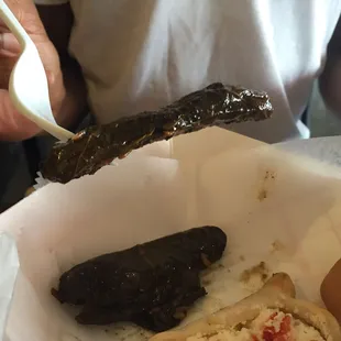 Oddly thin stuffed grape leaf