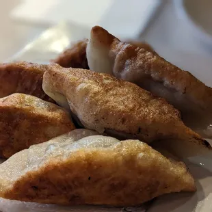 Pan fried potstickers
