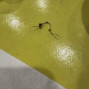 Metal in my soup