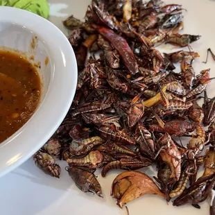 The best chicharon chapulines/grasshopper in town!