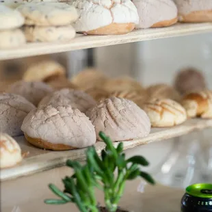 soups and chowder, food