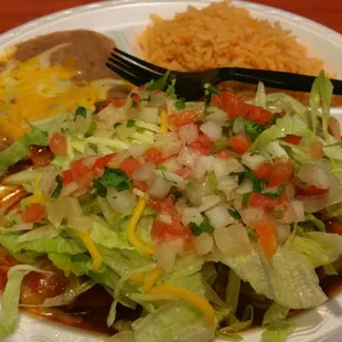 Two Chicken Enchiladas