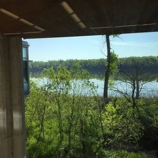 View out the back of the visitor center