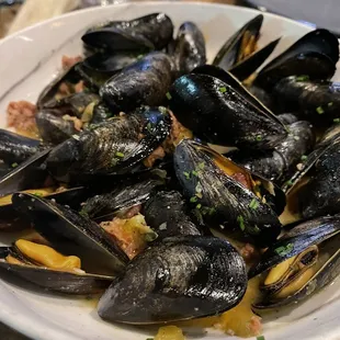 Mussels