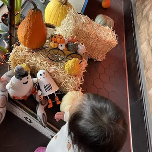 Festive fall/Halloween decor