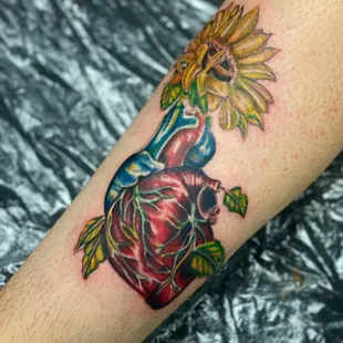 Anatomical heart with sunflower