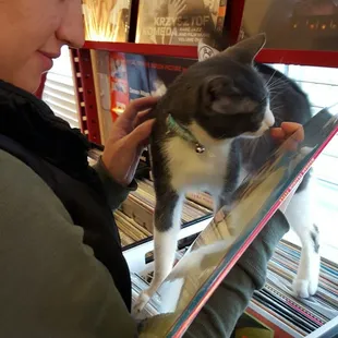 The owner has this awesome cat that will walk along the crates with you. Oh, and he has awesome records too!