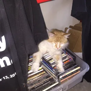 Spotted a wild sleeping beast!!!