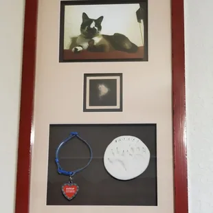 Kitty Memorial Frame