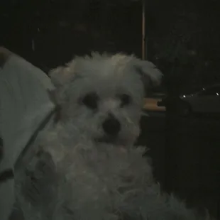 The real Deaf Monty!