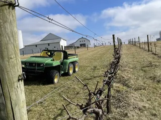 Caesar Creek Vineyard