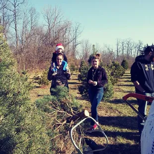 First time here this year!  Our Christmas tree farmers for the last four years retired.