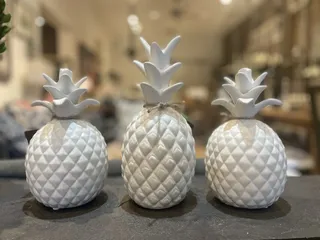 Digs Home and Garden