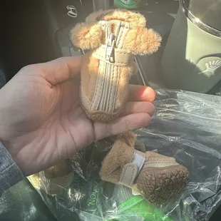 Got some cute dog shoes for $3