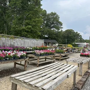a row of wooden benches and tables