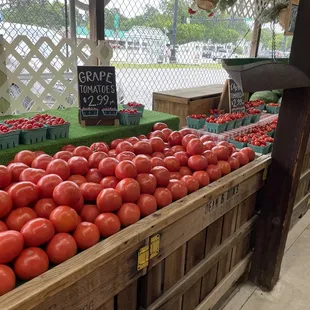 a display of tomatoes
