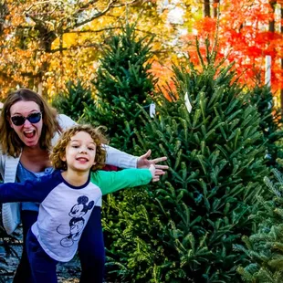 Excellent Christmas tree selections each year.