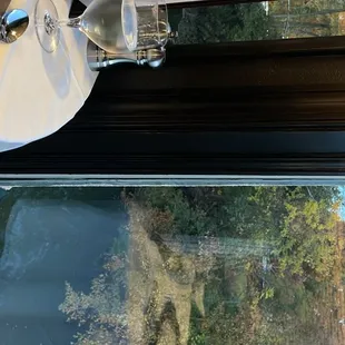 a view of a forest through a window