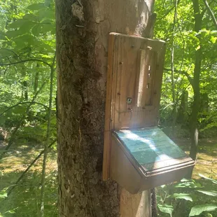 Wind phone -- post-vandalism (stolen phone) -- July 2024