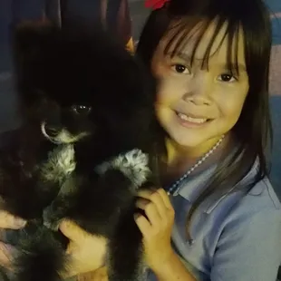 Such a cute pomeranian