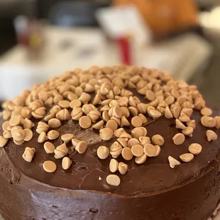 Reese's peanut butter cake