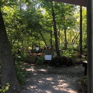 Enchanted forest, nice little trail in the back that isn't crowded