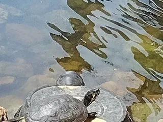 Lakeside Nature Center