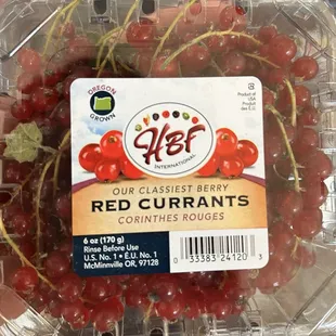 Red currants grown by HBF in McMinnville Oregon