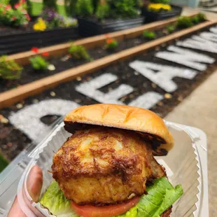 a hand holding a chicken sandwich