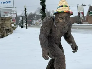 Woodbooger Bar and Grill