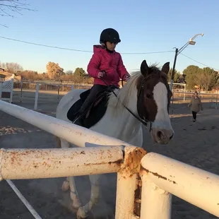 Equestrian riding