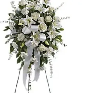 this is what i ordered