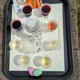 Wine tasting flight with chocolate and chips