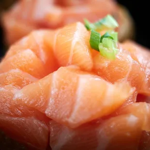Salmon