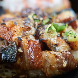 Unagi