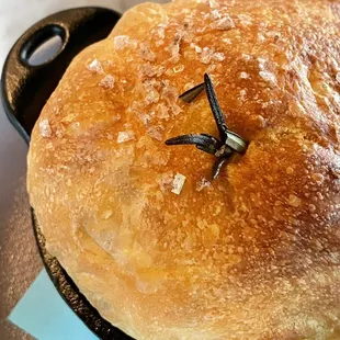 a pan of bread with a spider on it