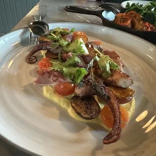 Octopus