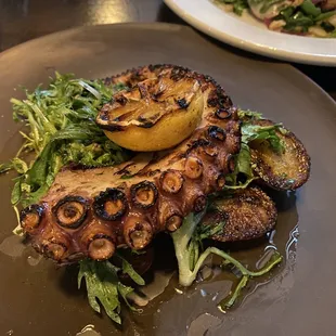 Octopus cooked to perfection, but sadly the salad was overly salted