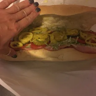 Italian hosgie